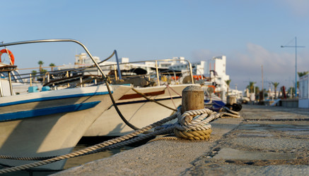 Similar image 21286089