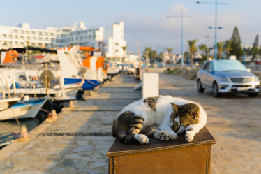 Similar image 21278833