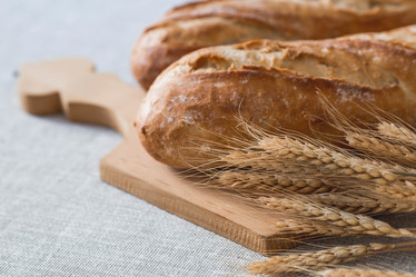 Similar image 21287375