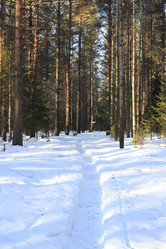 Similar image 21270797