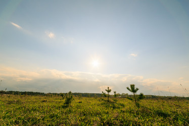 Similar image 21291219