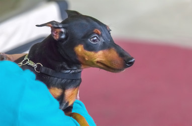 Similar image 21282916