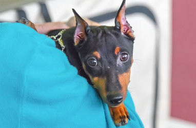 Similar image 21282917