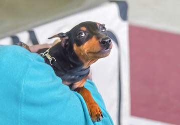 Similar image 21282919