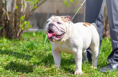 Similar image 21282708