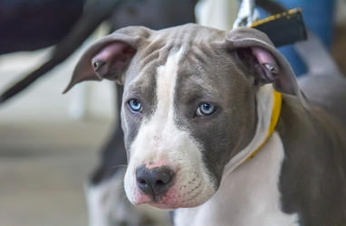 Similar image 21282711