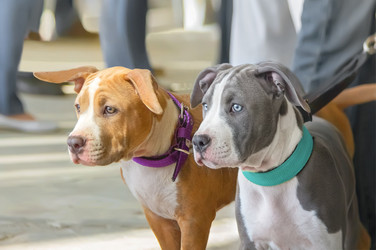 Similar image 21282712