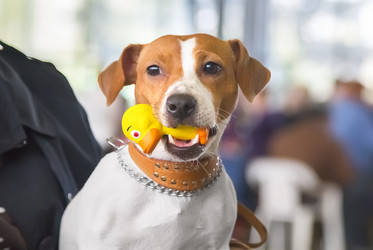 Similar image 21282713