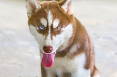 Similar image 21282714