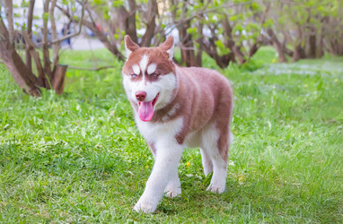 Similar image 21282715