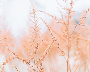 Similar image 21284265