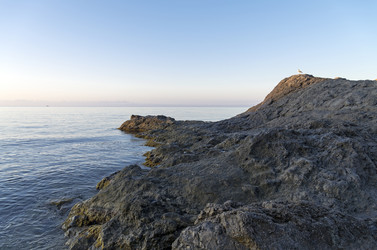 Similar image 21267741