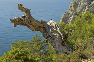 Similar image 21267743