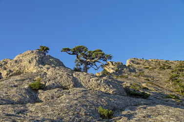 Similar image 21267745