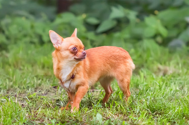 Similar image 21283455