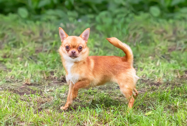 Similar image 21283456