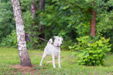 Similar image 21283457