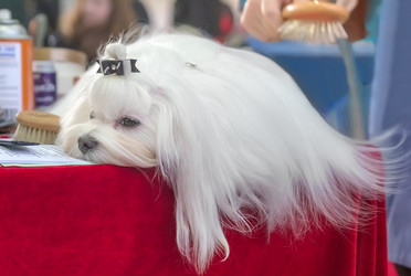 Similar image 21283458