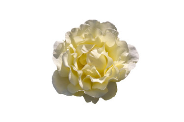 Similar image 21283463