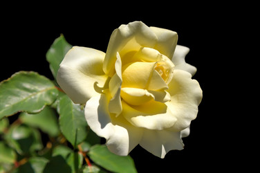 Similar image 21283464