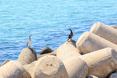 Similar image 21290768