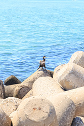 Similar image 21290770