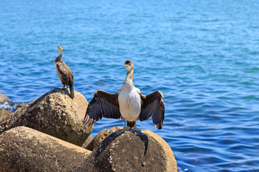 Similar image 21291334