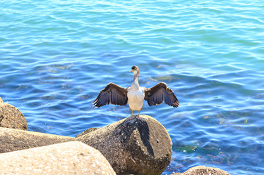 Similar image 21291340