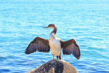 Similar image 21291344