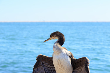 Similar image 21291346