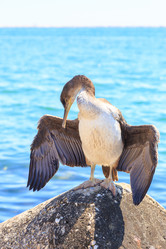 Similar image 21291347