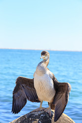 Similar image 21291353