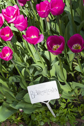 Similar image 21267747