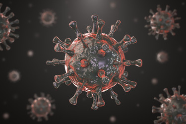 Similar image 21268855