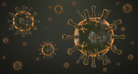 Similar image 21268858