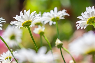 Similar image 21283466