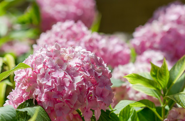 Similar image 21283467