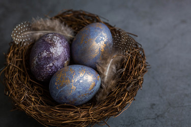 Similar image 21267545