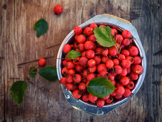 Similar image 21289974