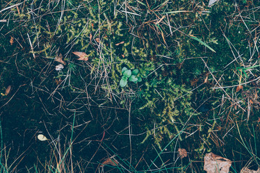 Similar image 21288968