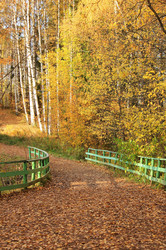 Similar image 21270808