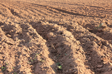 Similar image 21270809