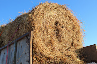 Similar image 21270814