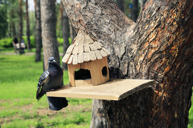 Similar image 21268456