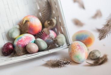 Similar image 21270473