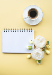 Similar image 21267607