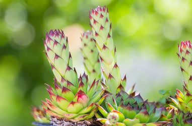 Similar image 21282920