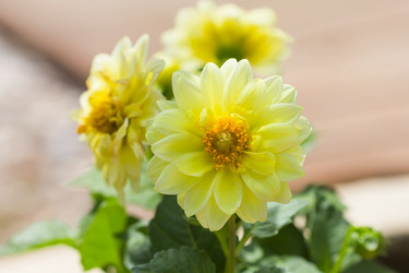 Similar image 21282922