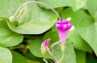 Similar image 21282923