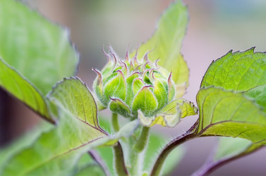 Similar image 21282924